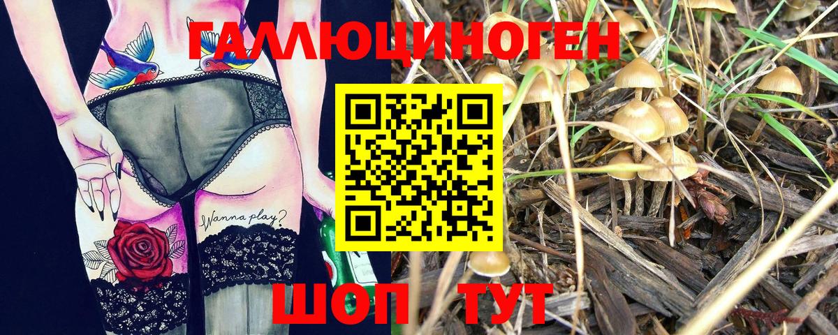 Стерлитамак  Галлюциногенные грибы Psilocybe  Вход с VPN 